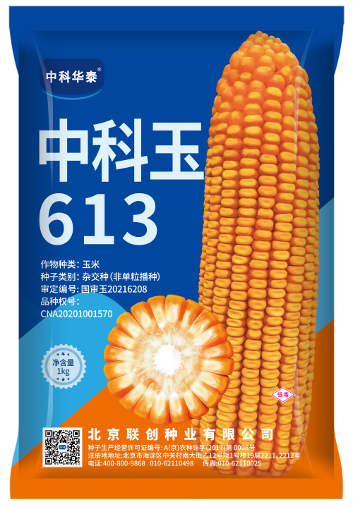 中科玉613